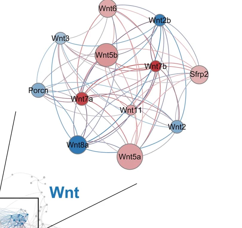 Open access visualization of Network, Pathway, Wnt Module, Genes, Fold Change