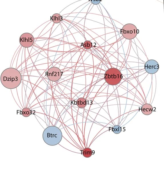 Open access visualization of Network, Pathway, Ubiquitination Module, Genes, Fold Change