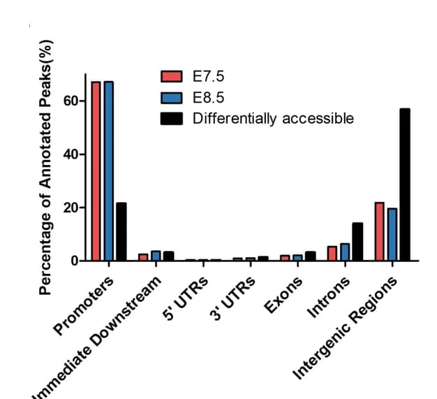 Open access visualization of Bar Plot, Clustered, ATAC-seq peaks, E7.5, E8.5
