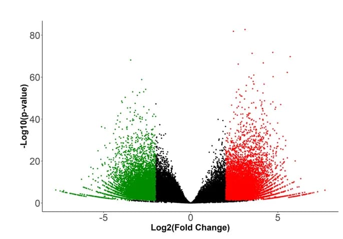 Open access visualization of Volcano Plot, Scatter Plot, ATAC-seq peaks, Log 2 (Fold Change), E8.5
