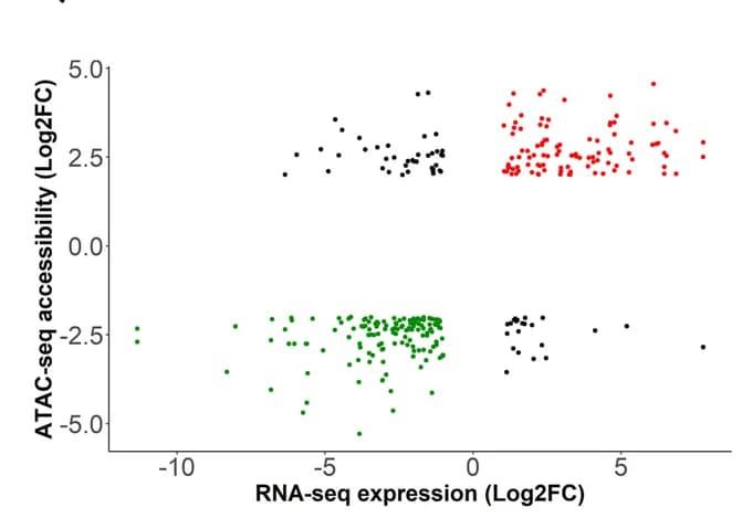 Open access visualization of Scatter Plot, Scatterplot, Genomic accessibility, Gene expression, Upregulated genes