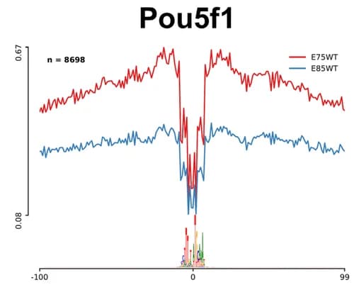 Open access visualization of Line Plot, ATAC-seq profiles, Pou5f1, E7.5, E8.5