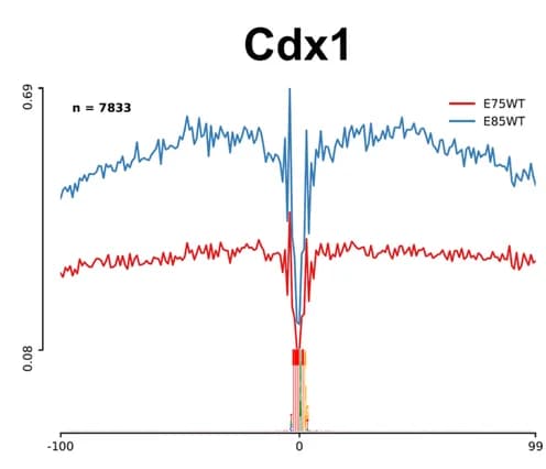 Open access visualization of Line Plot, Error Bars, ATAC-seq profiles, Cdx1, E7.5