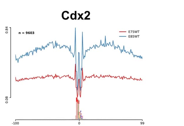 Open access visualization of Line Plot, ATAC-seq profiles, Cdx2, E7.5, E8.5