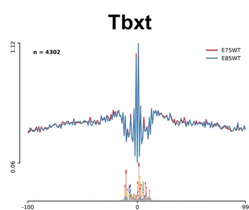 Open access visualization of Line Plot, Bar Plot, ATAC-seq profiles, Tbxt, E7.5