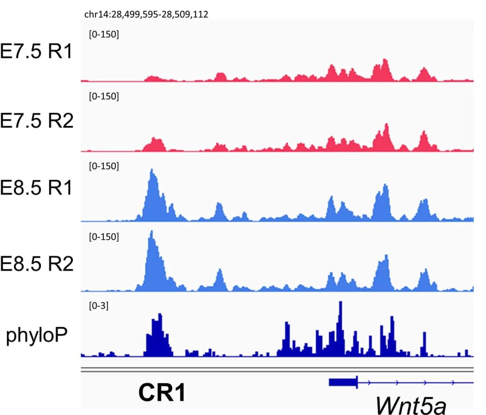 Open access visualization of Line Plot, Density Plot, ATAC-seq, Accessibility Profiles, CR1 Region