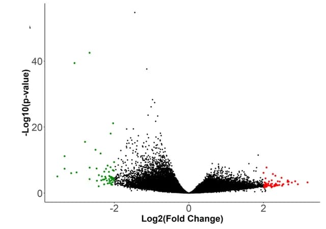Open access visualization of Volcano Plot, ATAC-seq, Peaks, Raldh2, Wild Type