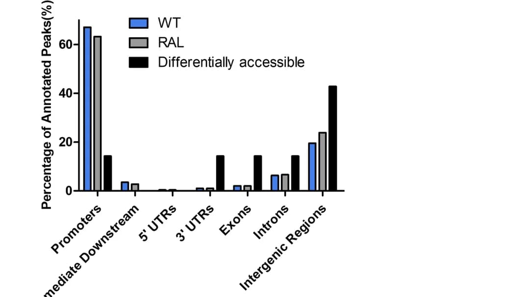 Open access visualization of Bar Plot, Clustered, Genomic Distribution, ATAC-seq, Peaks