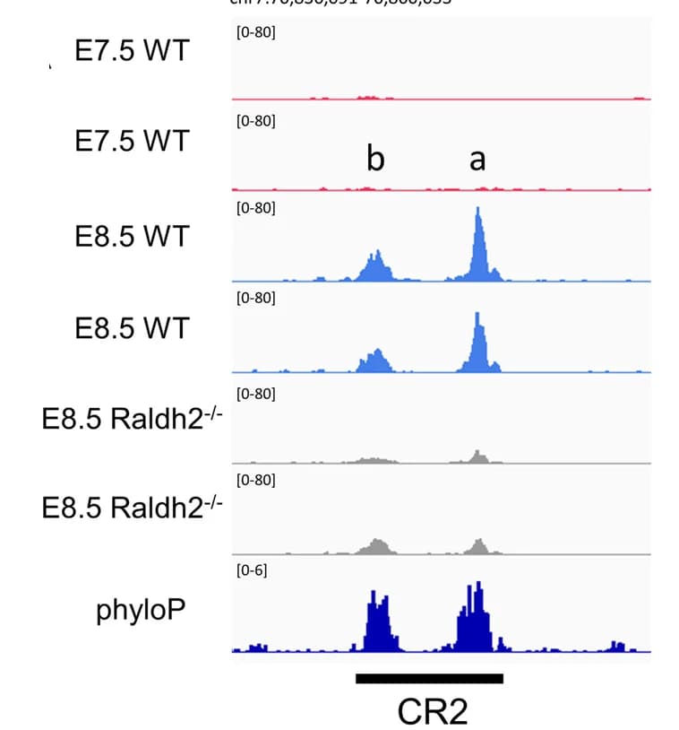 Open access visualization of Line Plot, Density Plot, ATAC-seq, Accessibility Profiles, CR2 Region