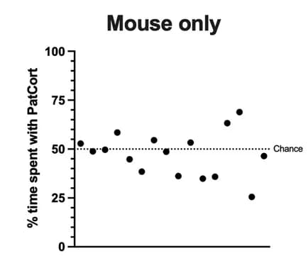Open access visualization of Scatter Plot, Paternal Corticosterone Treatment, Male Attractiveness, Female Mouse, Chi-Square Test