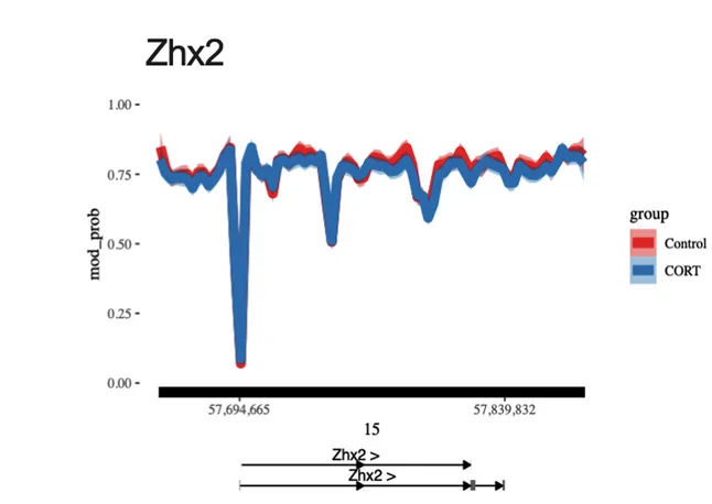 Open access visualization of Line Plot, Error Bars, Zhx2