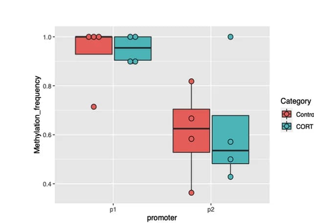 Open access visualization of Box Plot, Scatter Plot, Methylation Frequency, Mup20, Promoters
