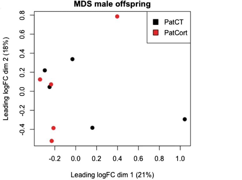 Open access visualization of Scatter Plot, PCA, UMAP, Gene Expression, Prefrontal Cortex