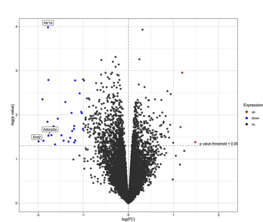 Open access visualization of Volcano Plot, Scatter Plot, Gene Expression, Prefrontal Cortex, Offspring