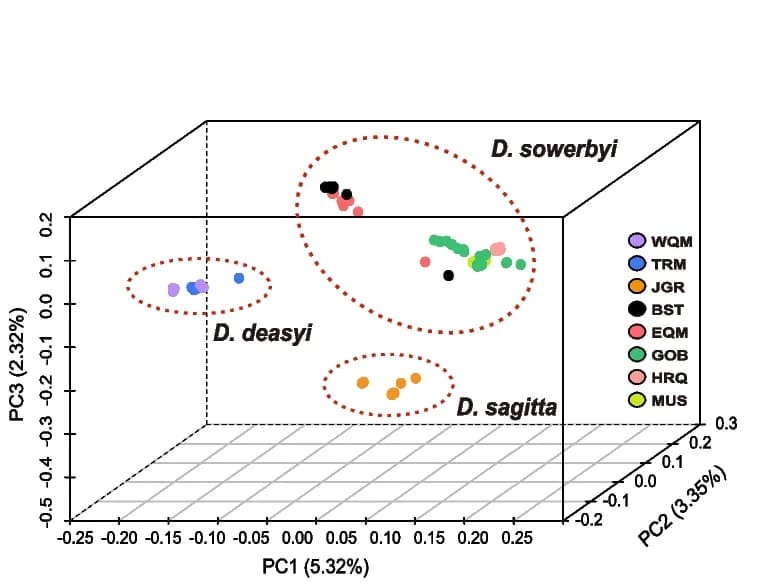 Open access visualization of 3D Plot, Principal Components Analysis, Whole-Genome SNPs