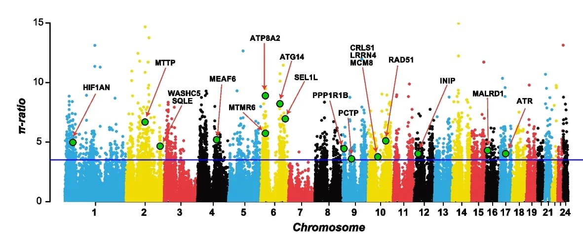 Open access visualization of Manhattan Plot, Genomic Regions, Candidate Genes, High-Altitude Desert Adaptation, Radiation Response