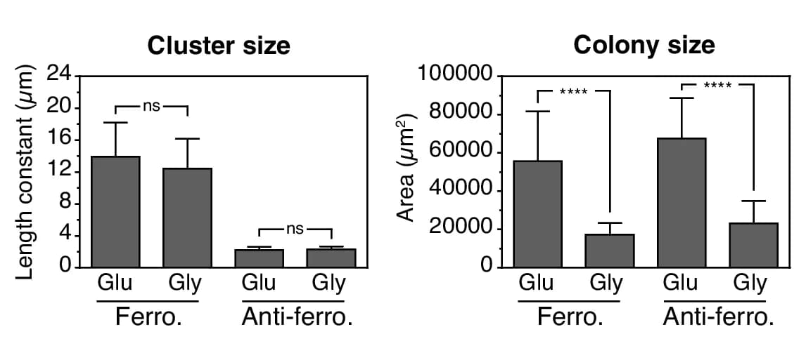 Open access visualization of Bar Plot, Error Bars, Length Constant, Colony Size, Ferromagnetic