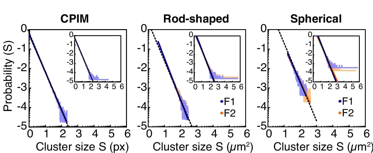 Open access visualization of Line Plot, Histogram, Probability Distribution, Cluster Size, Ferromagnetic