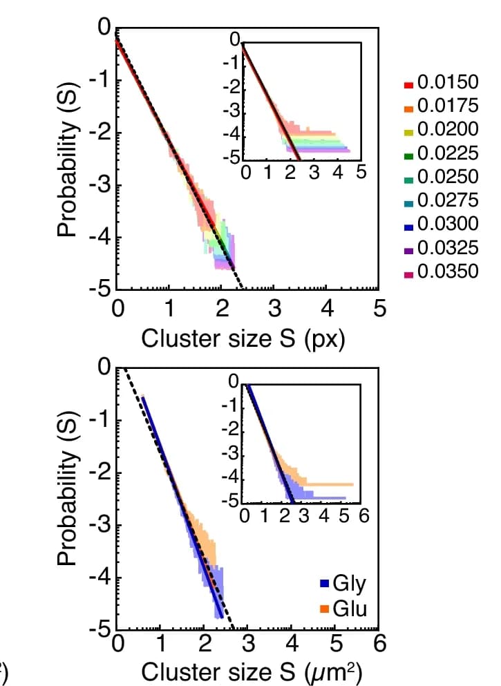 Open access visualization of Line Plot, Histogram, Probability Distribution, Cluster Size, Ferromagnetic