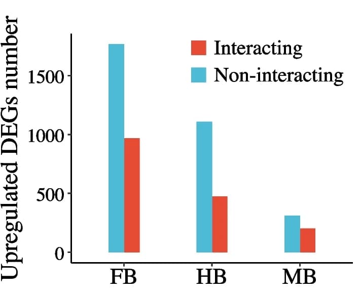 Open access visualization of Bar Plot, Clustered, Upregulated Genes, Interacting Individuals, Non-Interacting Individuals