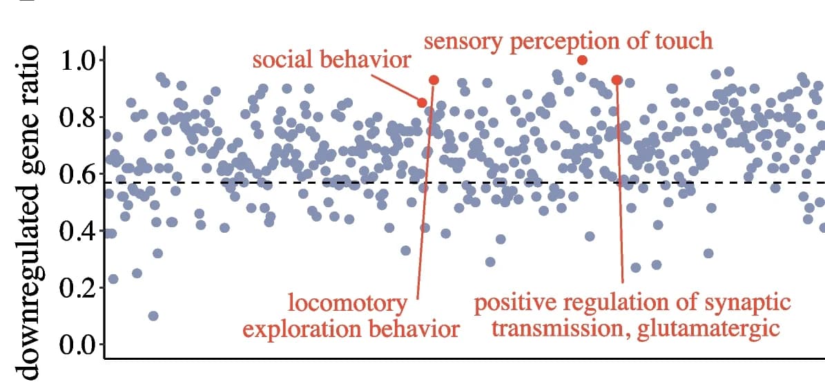 Open access visualization of Scatter Plot, Downregulated Genes, Enriched Functions, Gene Expression, Brain Region