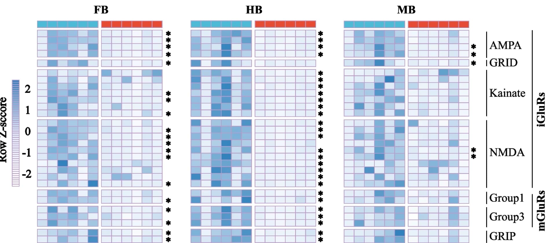 Open access visualization of Heatmap, Glutamate Receptors, Glutamate Receptor-Interacting Proteins, Gene Expression, Non-Interacting Individuals