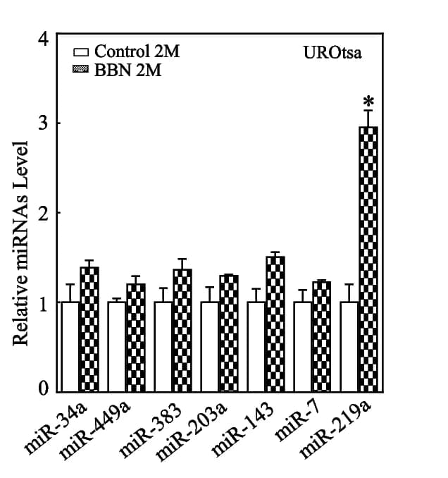 Open access visualization of Bar Plot, Error Bars, Clustered, Real-time PCR, miRNA Expression