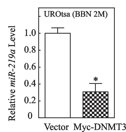 Open access visualization of Bar Plot, Error Bars, miR-219a, UROtsa BBN2mo /Vector cells, UROtsa BBN2mo /Myc-DNMT3a cells