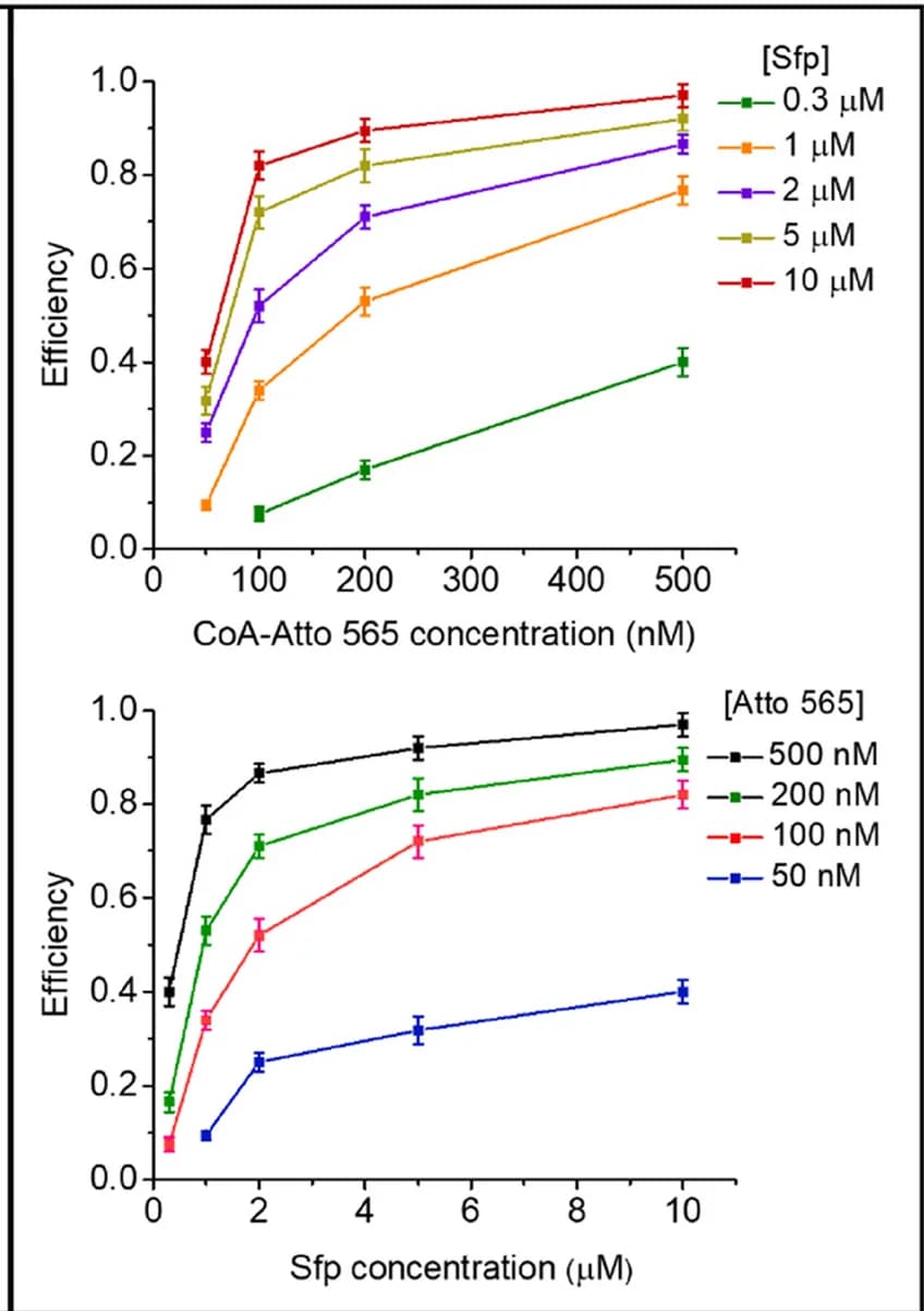 Open access visualization of Line Plot, Error Bars, Fluorescent Labeling, Atto 565, CoA-dye