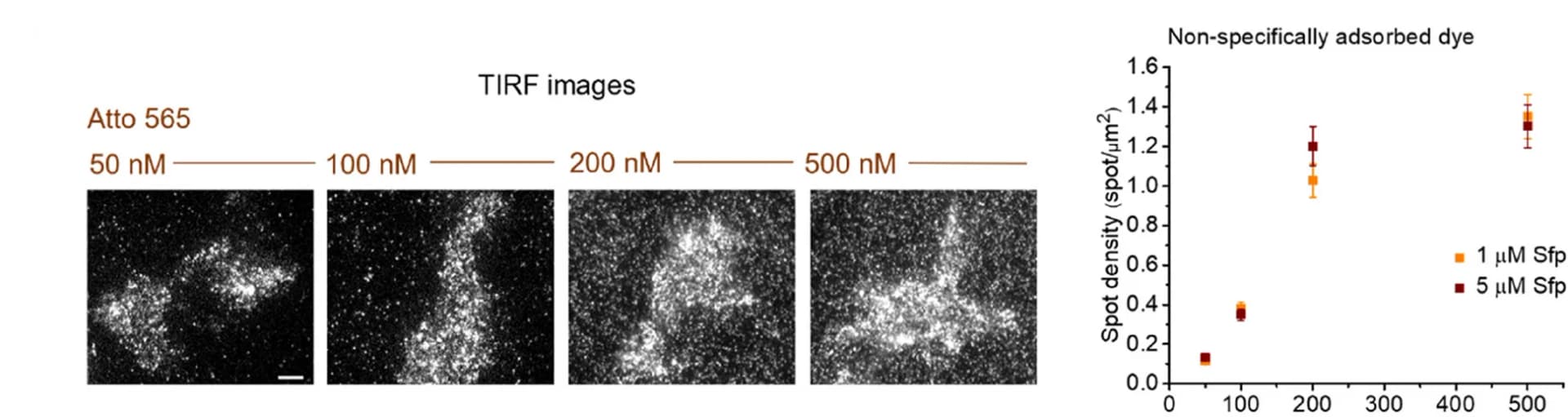 Open access visualization of Line Plot, Microscopy, Error Bars, TIRF Images, Cells