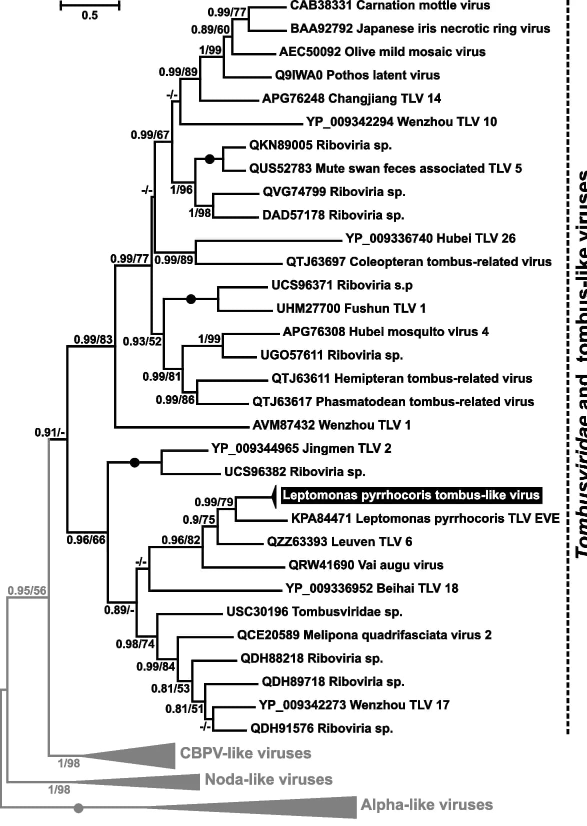 Open access visualization of Line Plot, Phylogenetic Tree, RDRP, Amino Acid Sequences, Bayesian Posterior Probability