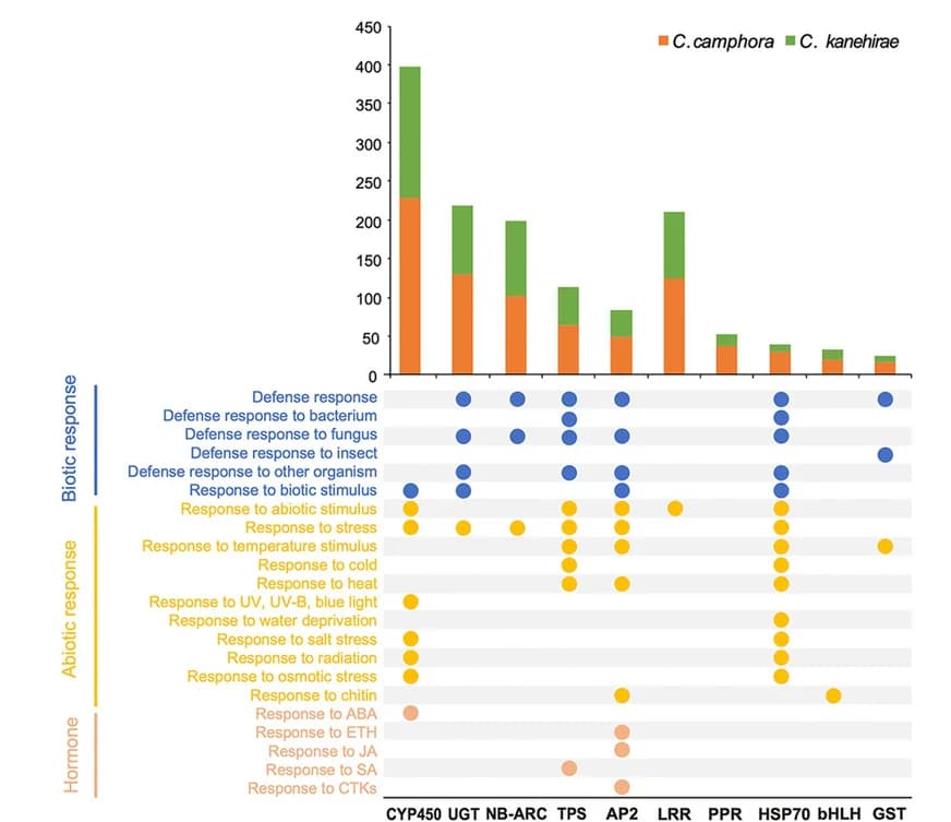 Open access visualization of Stacked Bar Plot, Scatter Plot, GO Enrichment, Gene Pairs, Circadian Rhythm