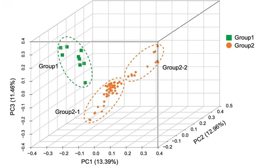 Open access visualization of 3D Plot, Scatter Plot, PCA, FST Distribution, Nucleotide Diversity