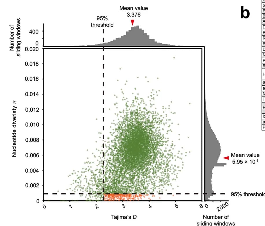 Open access visualization of Scatter Plot, Density Plot, Histogram, Tajima’s D, Nucleotide diversity
