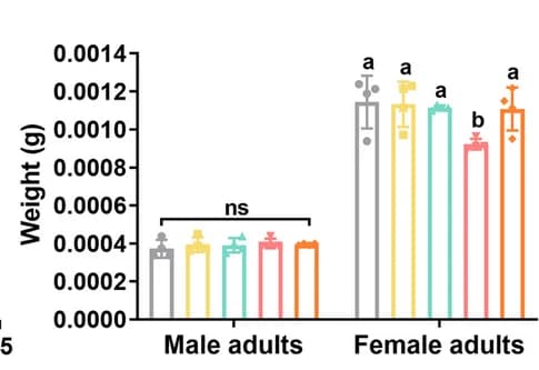 Open access visualization of Bar Plot, Error Bars, Weight, Adults
