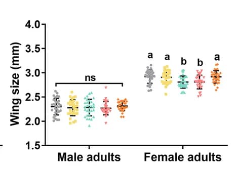 Open access visualization of Scatter Plot, Error Bars, Wing Size, Adults