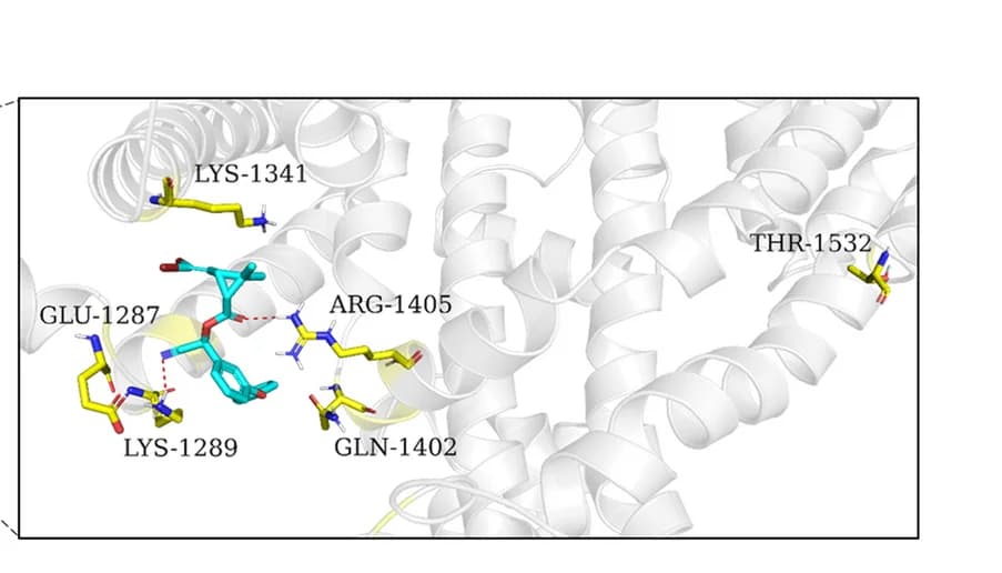 Open access visualization of Protein Structure, Chemical Structure, Deltamethrin, VGSC, I1532T Mutation