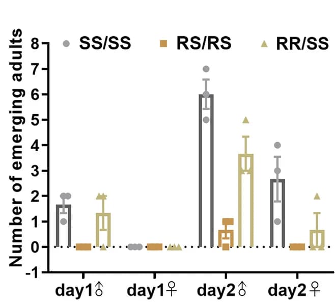 Open access visualization of Bar Plot, Error Bars, Clustered, Genotypes, Insect Adults