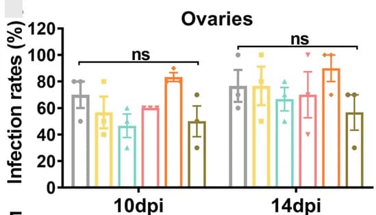 Open access visualization of Bar Plot, Error Bars, Clustered, Ovaries, Infection Rate