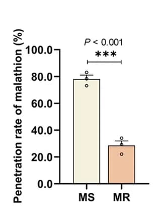 Open access visualization of Bar Plot, Error Bars, Malathion, Penetration Rate, MR Strain