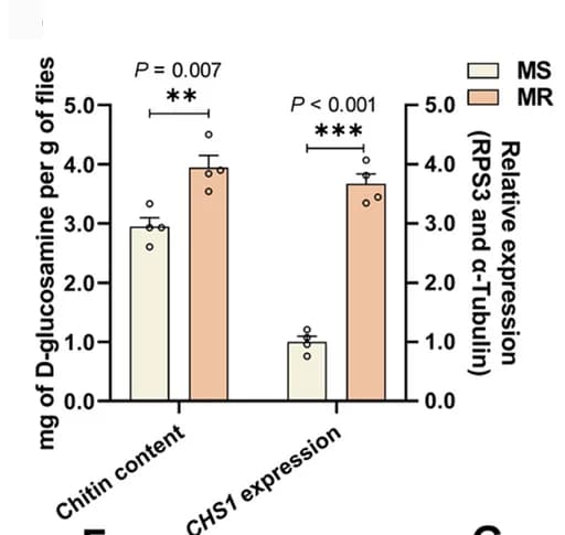 Open access visualization of Bar Plot, Error Bars, Chitin Content, CHS1 Expression, MR Strain