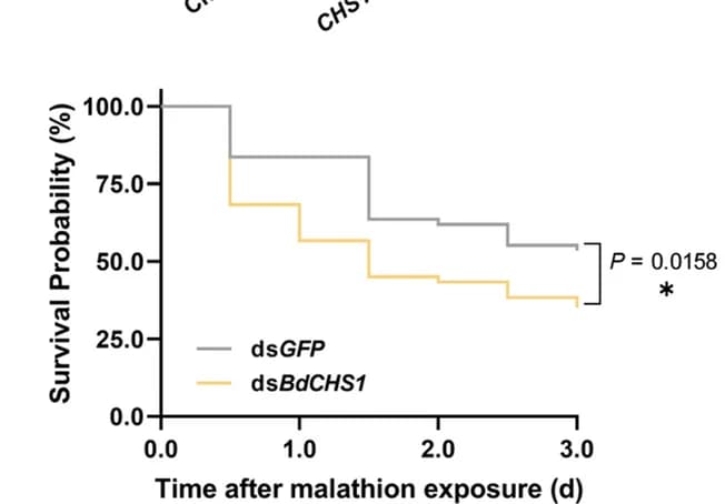 Open access visualization of Line Step, Survival Curve, CHS1 Silencing, Malathion Susceptibility, B. dorsalis