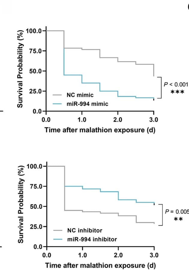 Open access visualization of Survival Curve, Line Step, Bactrocera dorsalis, Malathion, Synthetic miR-994