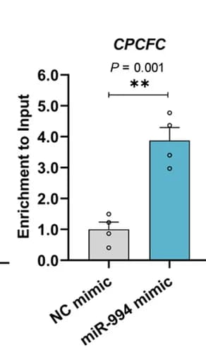 Open access visualization of Bar Plot, Error Bars, Enrichment Analysis, Biotin-Avidin RNA Pull-down, miR-994