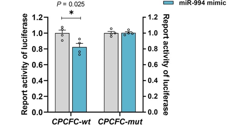 Open access visualization of Bar Plot, Error Bars, Clustered, Luciferase Activity, CPCFC