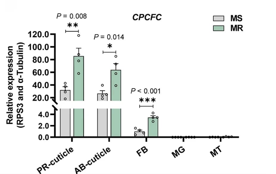 Open access visualization of Bar Plot, Error Bars, Scatter Plot, Expression Levels, Tissues