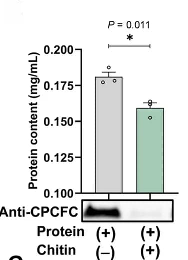 Open access visualization of Bar Plot, Error Bars, Photo, Gel, Chitin-binding Activity