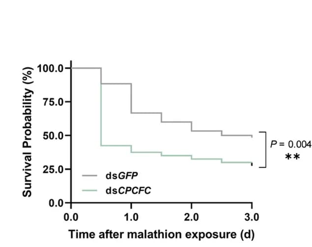 Open access visualization of Line Step, Survival Curve, Gene Silencing, Malathion Susceptibility, Survival Rate