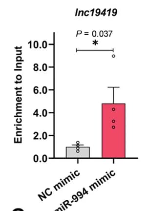 Open access visualization of Bar Plot, Error Bars, Enrichment Analysis, Biotin-Avidin RNA Pull-Down, miR-994