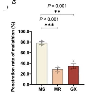 Open access visualization of Bar Plot, Error Bars, Malathion Penetration Rate, MS Strain, MR Strain